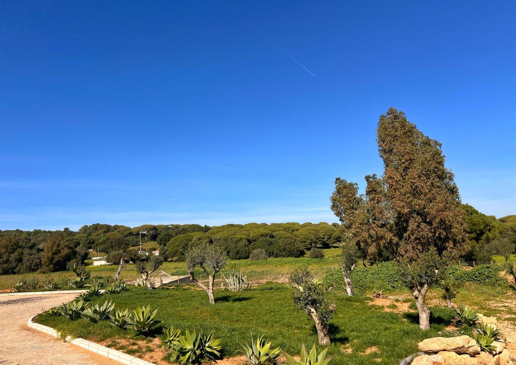 Hacienda La Yerbabuena Villa Cádiz Exterior foto